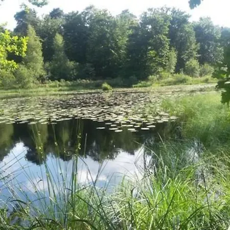 Natuurhuisje *