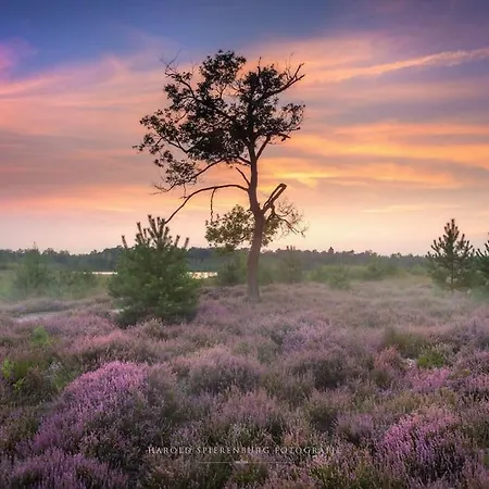 Natuurhuisje Chalet *