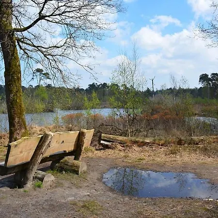 Chalet Natuurhuisje Oisterwijk