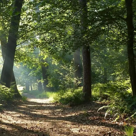 Horská chata Natuurhuisje *