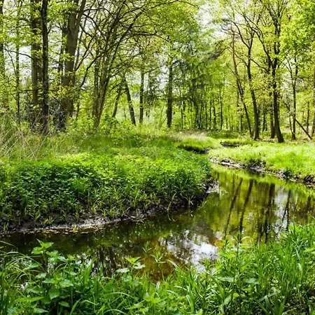 Horská chata Natuurhuisje